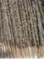 Weißer Salbei-Stick, Weißer Salbei-Kräuter-Stick, Verkauft pro Einheit
