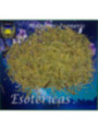 Esoterisches Kraut Rosmarin. 30 Gramm