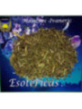 Esoterisches Kraut Fumitory. 30 Gramm