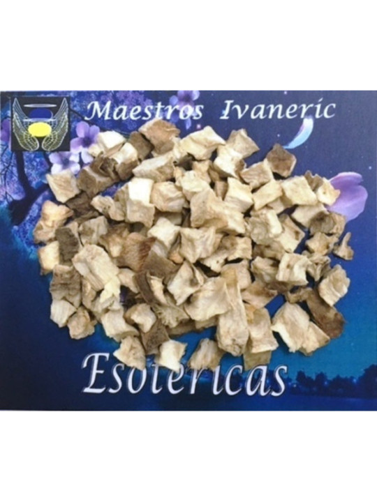 Esoterisches Kraut Zichorie 30 Gramm