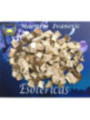 Esoterisches Kraut Zichorie 30 Gramm