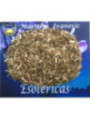 Esoterisches Kraut Odermennig 30 Gramm