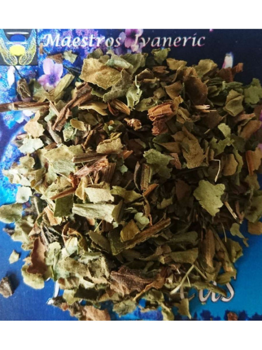 Esoterisches Kraut Lungenkraut 10 Gramm