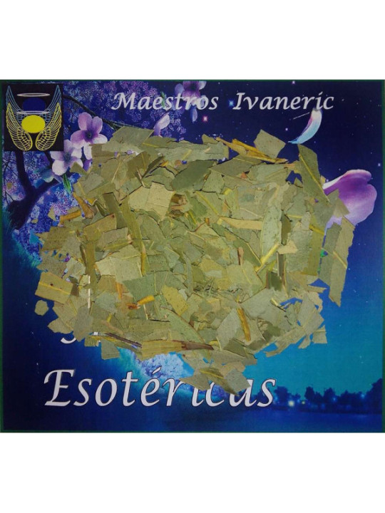 Esoterisches Kraut Eukalyptus. 100 Gramm