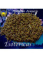 Esoterisches Kraut Lavendel (Lavendel) 100 Gramm