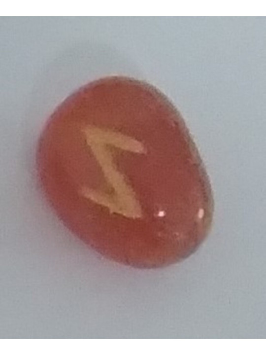 Amulette der Runen Carneola Eihwaz. Die Pflanzenwelt.