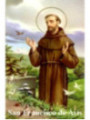Heiliger Franz von Assisi Plastifizierter Abdruck. 5x7,5cm