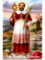 Plastifizierter Abdruck von San Ramón Nonato 5x7,5cm.