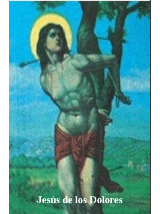 Plastifizierter Abdruck von Jesus der Schmerzen, 5x7,5cm
