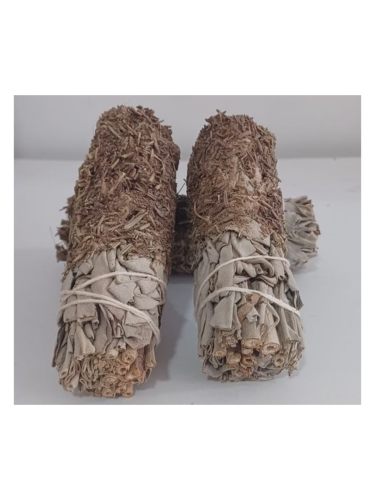 Bündel weißer Salbei mit Rosmarin von 11 cm. ca.