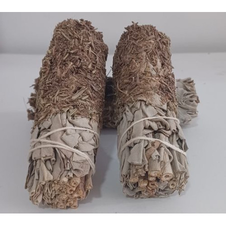Bündel weißer Salbei mit Rosmarin von 11 cm. ca.