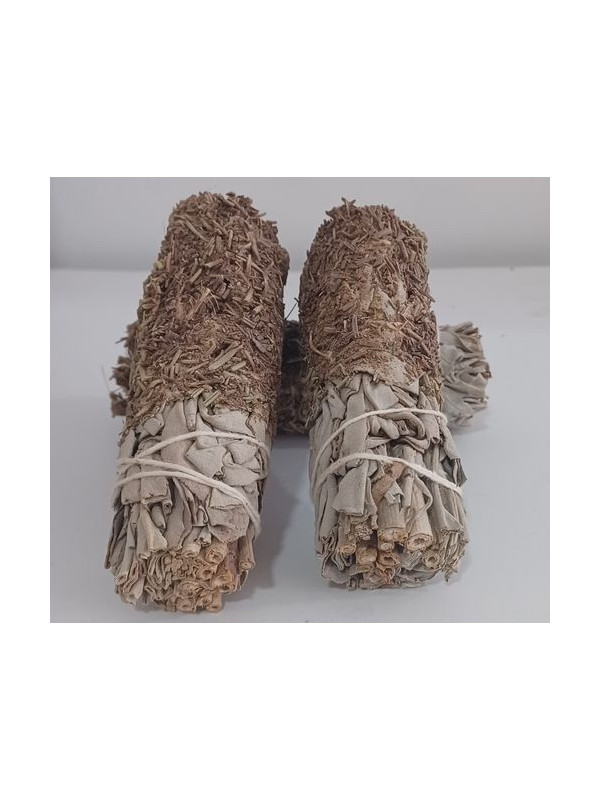 Bündel weißer Salbei mit Rosmarin von 11 cm. ca.