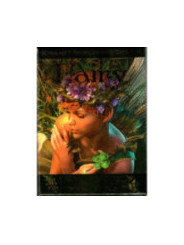 Orakel Fee Lenormand. Buch plus Orakel