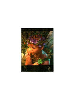 Orakel Fee Lenormand. Buch plus Orakel