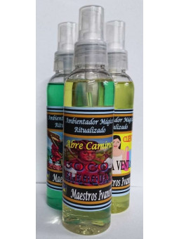 Ritualisierter magischer Lufterfrischer Kokosnuss Eleggua