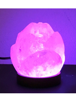 USB Salzlampe Rosa Form, von 600 bis 900 Gramm