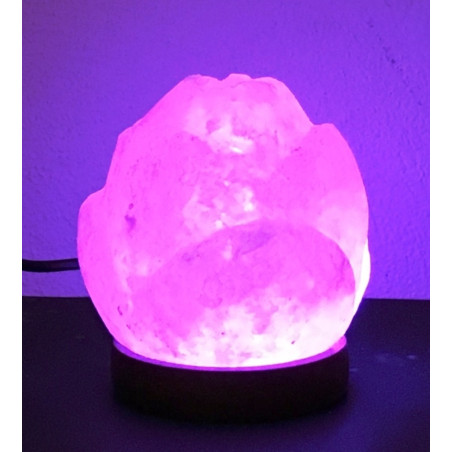 USB Salzlampe Rosa Form, von 600 bis 900 Gramm