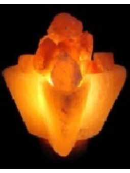 Handgemachte Salzlampe Blume Form, von 2 bis 4 kg