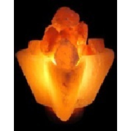 Handgemachte Salzlampe Blume Form, von 2 bis 4 kg