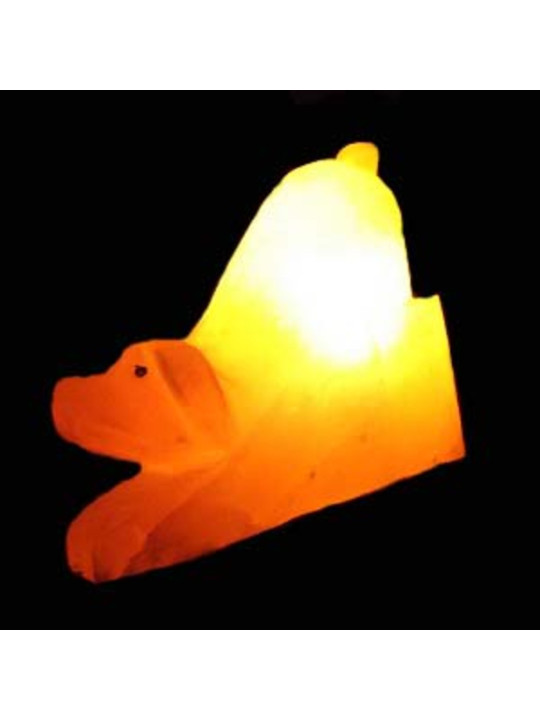 Handgemachte Hundesalzlampe 20x20 cm