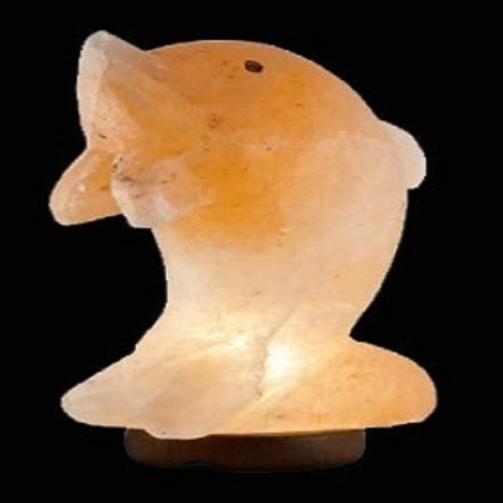Handgefertigte Delphin-Salzlampe, 20x20 cm