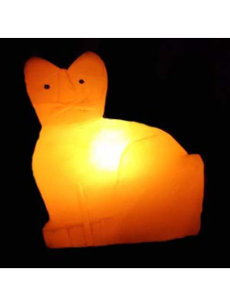 Handgemachte Salz Katze Lampe 20x20 cm