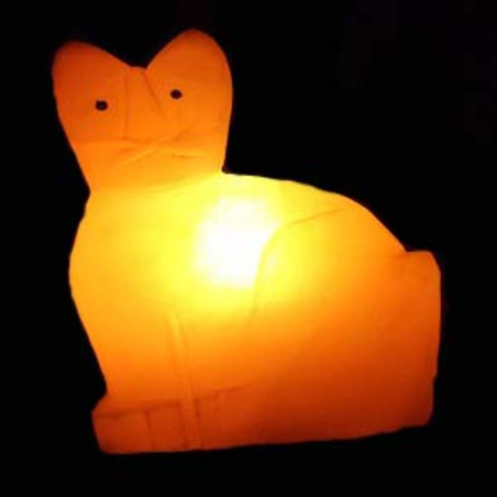 Handgemachte Salz Katze Lampe 20x20 cm
