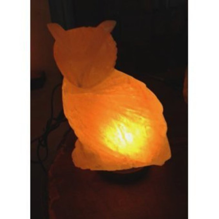 Handgefertigte Eule Salzlampe 20x20 cm