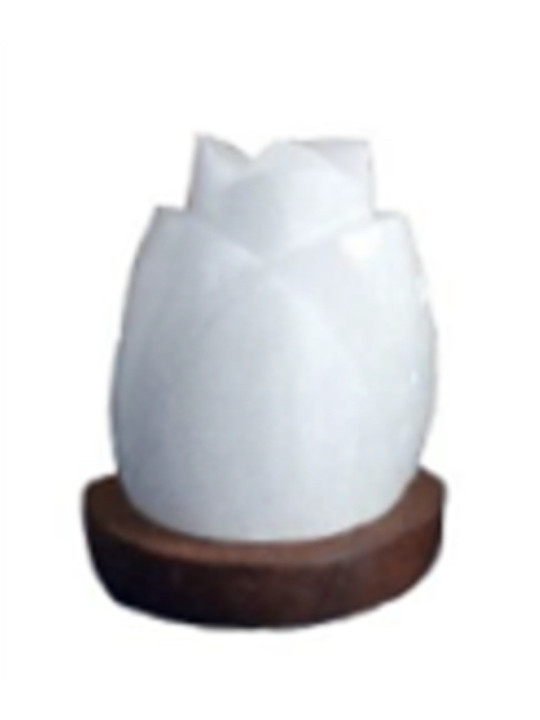 USB Selenit Lampe, Rose Form 15-20cm. 500-800Gr