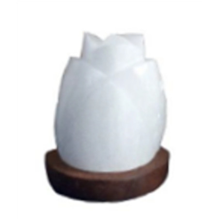 USB Selenit Lampe, Rose Form 15-20cm. 500-800Gr