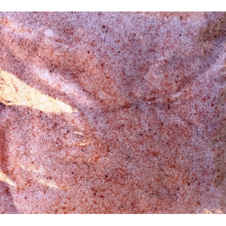 Rosa Salzmaische 1 Kilo