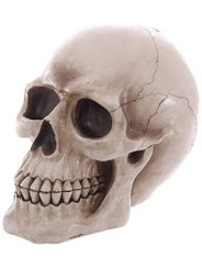 Totenkopf-Sparschwein Figur 24,5 x 16 x 19,5 cm