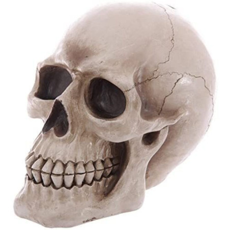 Totenkopf-Sparschwein Figur 24,5 x 16 x 19,5 cm