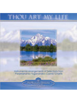 Musik Cd, Du bist mein Leben