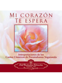 Musik Cd, Mein Herz wartet auf dich