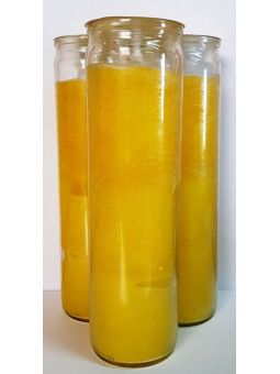 Echte gelbe Esoterik-Velone in dicker Glasvase