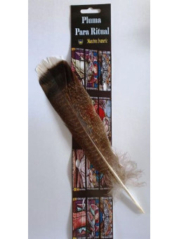 Ritual-Feder, 20 bis 30 cm