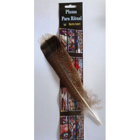 Ritual-Feder, 20 bis 30 cm