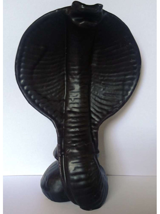 Große Schwarze Kobra Schlange. 19 x 14 cm