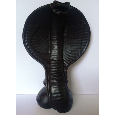 Große Schwarze Kobra Schlange. 19 x 14 cm