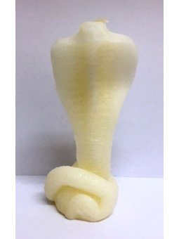 Weiße Kobra Schlange