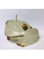 Weiße Glücksfrosch-Figur, Glück im Allgemeinen