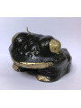 Schwarze Glücksfrosch-Figur, Petitionen zur Öffnung der Wege