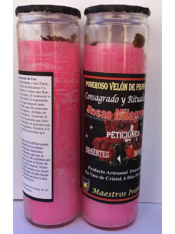 Sonderpetition Kerze für Wunderrosen, Wichtige Petitionen