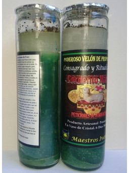 Besondere Petitionskerze Zahmes Lämmchen, Vorherrschaft