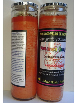 Hübscher Dompteur Spezial-Petitionskerze