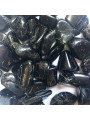 Kieselsteine Schwarzer Turmalin Kleine 1cm bis 2cm