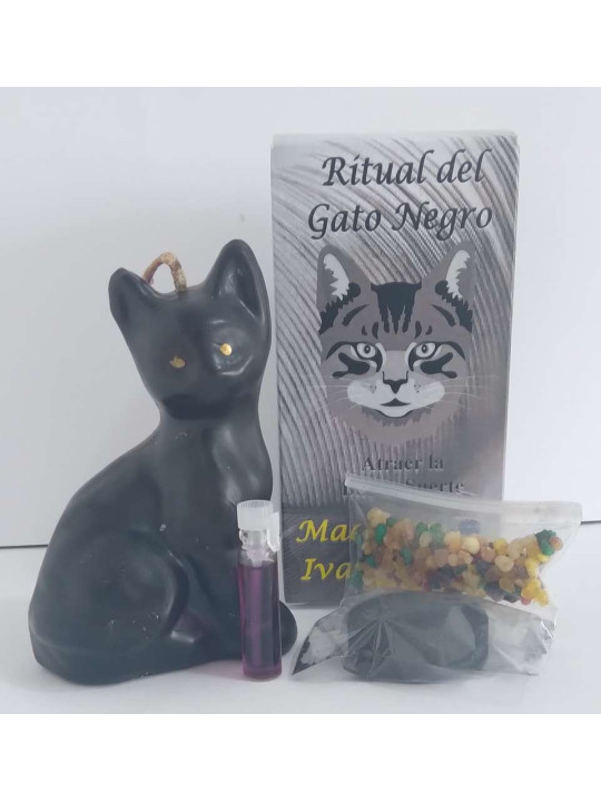 Ritual der schwarzen Katze, das Glück anzieht