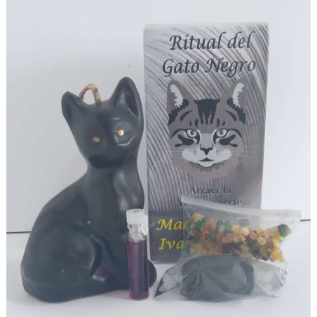 Ritual der schwarzen Katze, das Glück anzieht