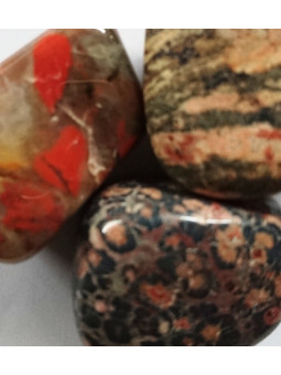 Kieselsteine Leopard Jaspis Medium 2,5cm bis 3,5cm